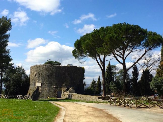 todi12
