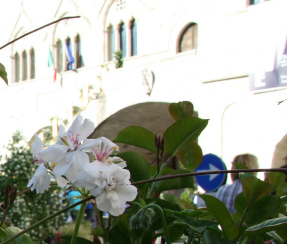 titolo immagine