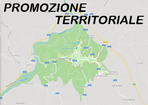 Procedura negoziata per l'affidamento in appalto di un servizio di progettazione e realizzazione di un piano di promozione territoriale.