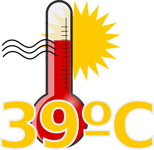 Emergenza calore